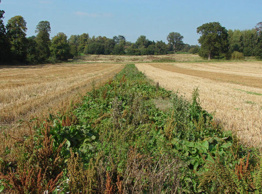 Community Energy Awards deferred until 2021 - fertile ground needs a fallow year