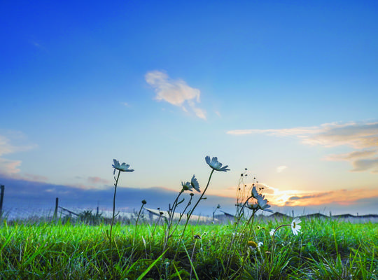New community solar bond launches on the Triodos Crowdfunding platform