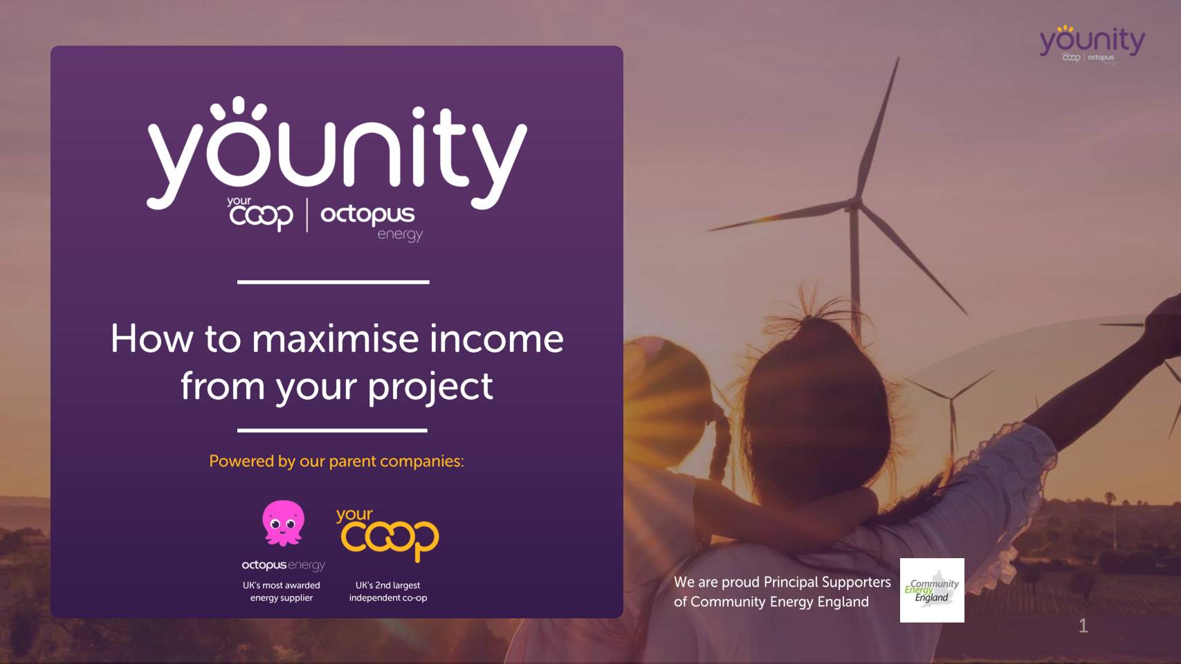 How to maximise income from your project